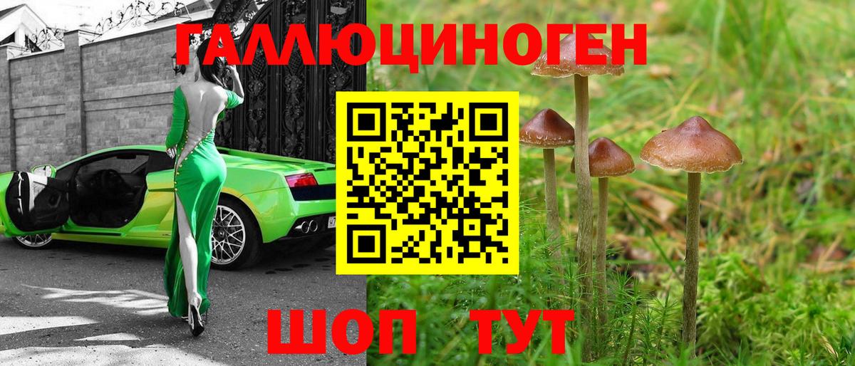 Галлюциногенные грибы мухоморы Щёкино
