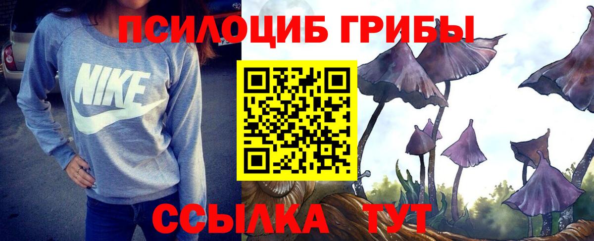Щёкино  Галлюциногенные грибы Psilocybine cubensis  Вход с VPN 